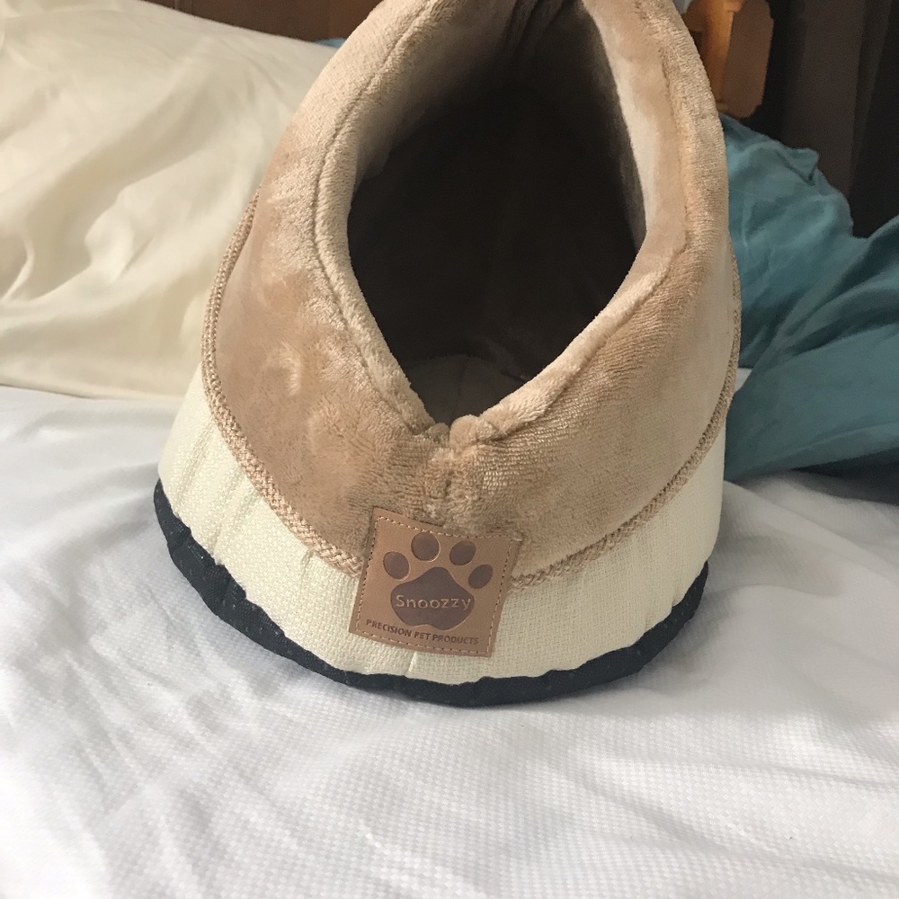 dog house